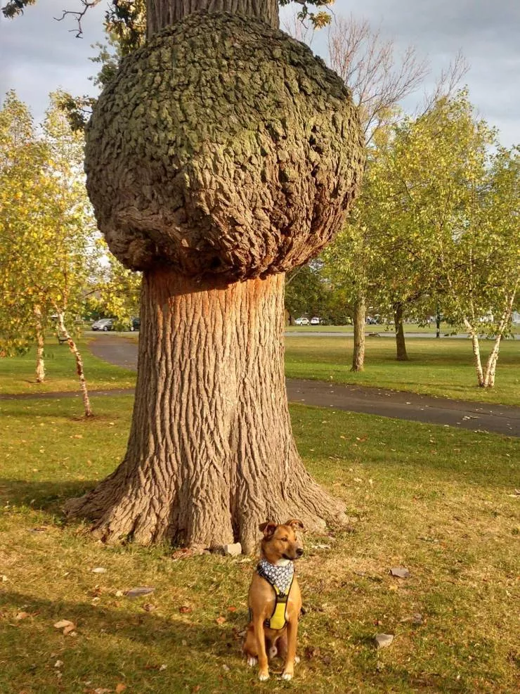 The 39 coolest photos of the week - #25 