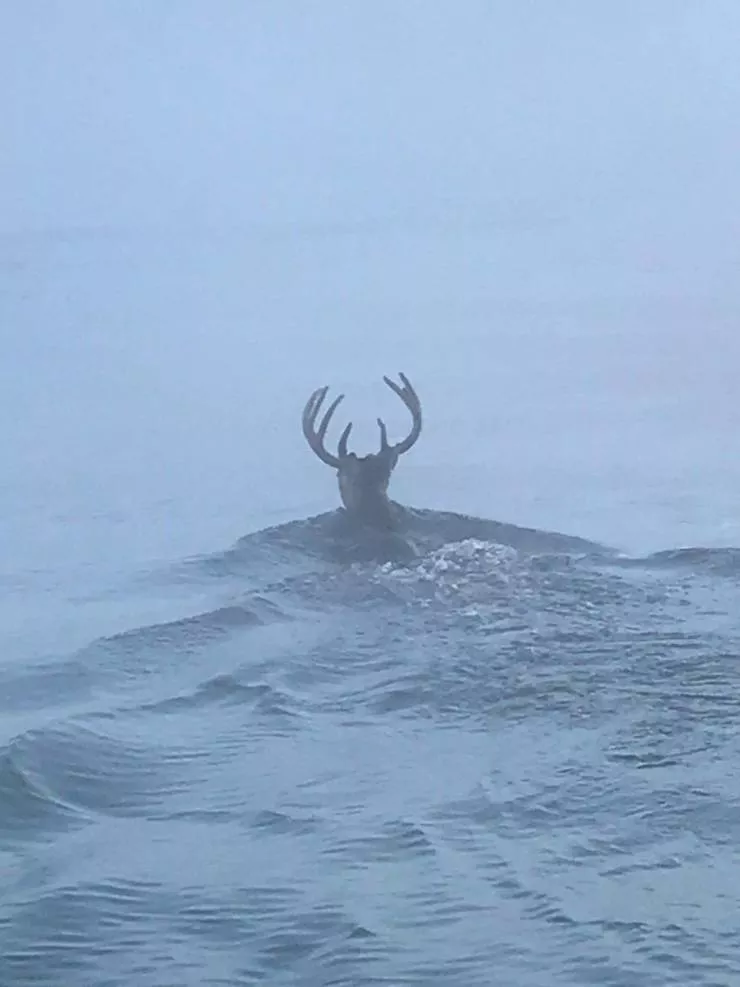 The 39 coolest photos of the week - #27 
