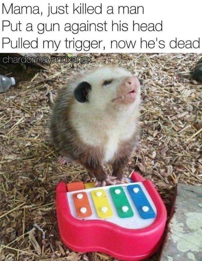 The 41 funniest animals - #40 The 41 funniest animals - #40