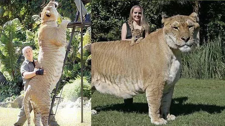Picdump 527 - #28 