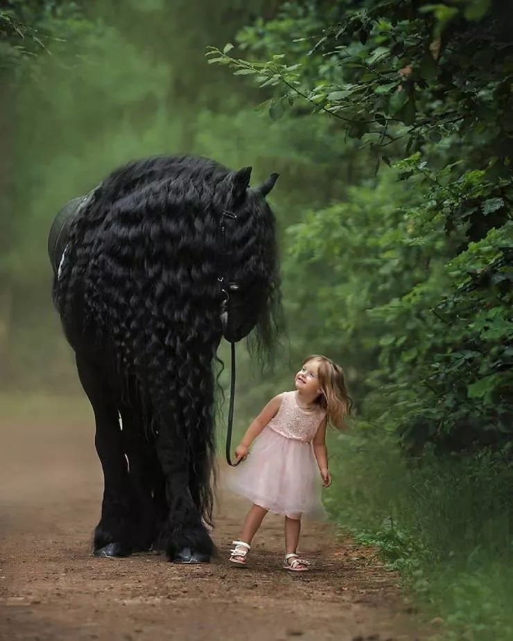 Les images les plus sublimes - #24 