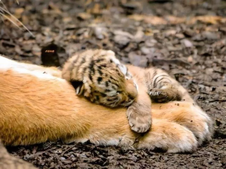 Les images les plus sublimes - #39 