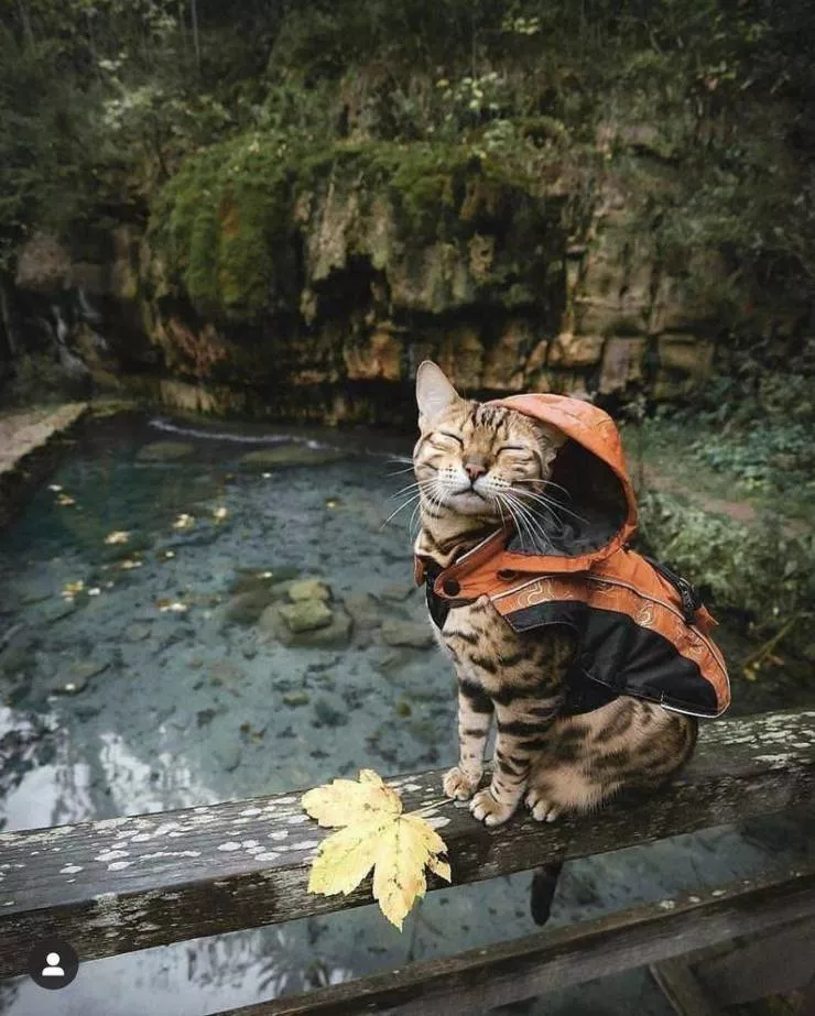 Les images les plus sublimes - #41 Les images les plus sublimes - #41