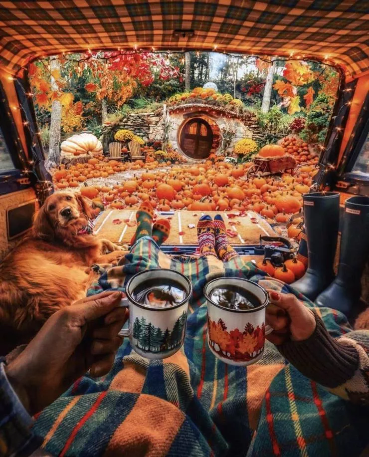 Les images les plus sublimes - #47 Les images les plus sublimes - #47