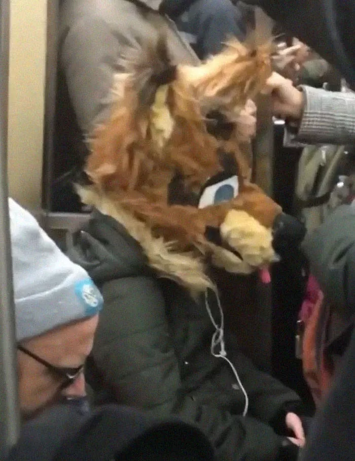 Corona in the subways - #18 