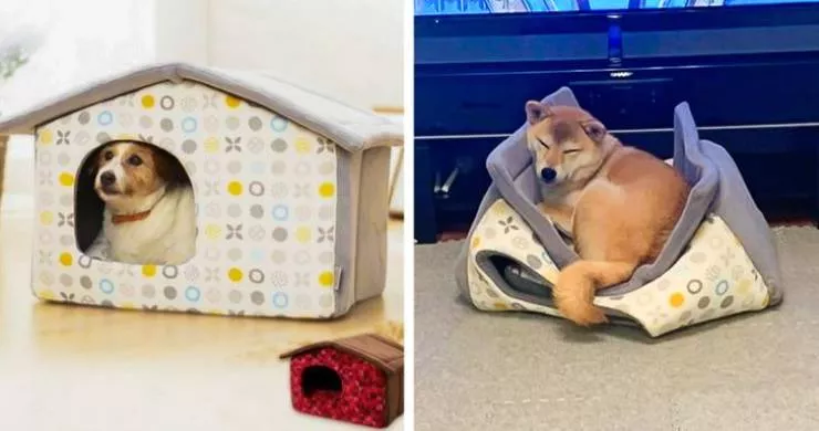 They dont appreciate their gifts