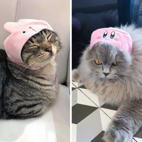 They dont appreciate their gifts - #10 