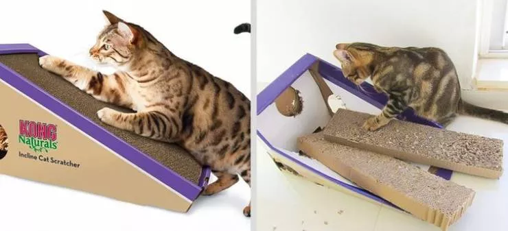 They dont appreciate their gifts - #11 