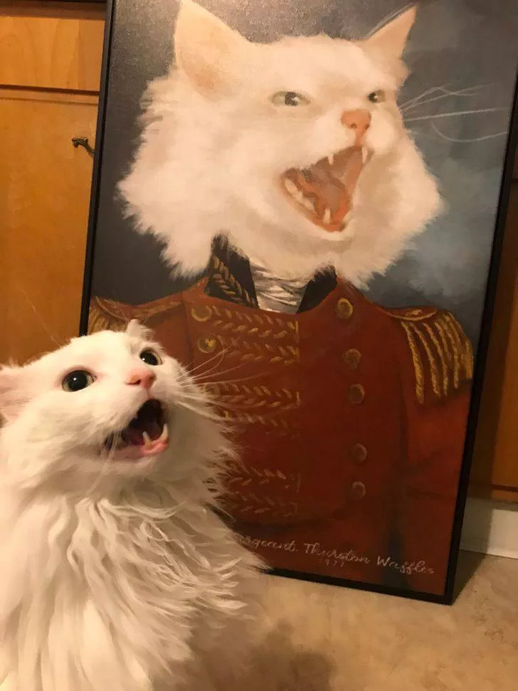 They dont appreciate their gifts - #21 