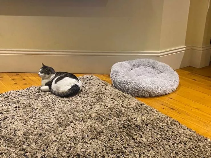 They dont appreciate their gifts - #7 