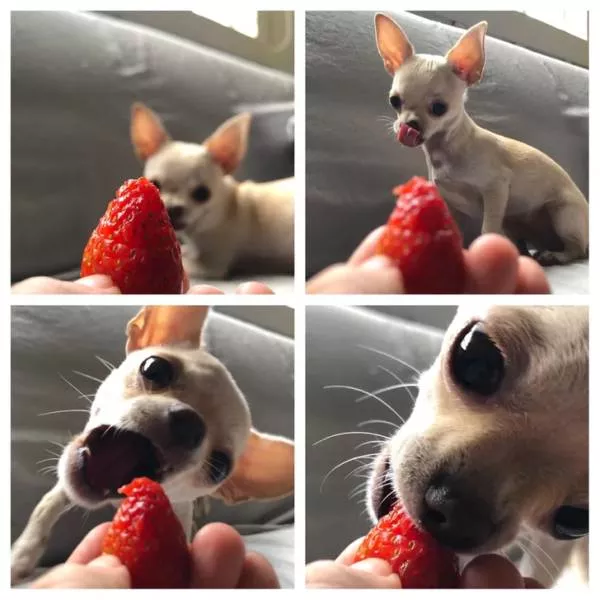 So cute - #1 