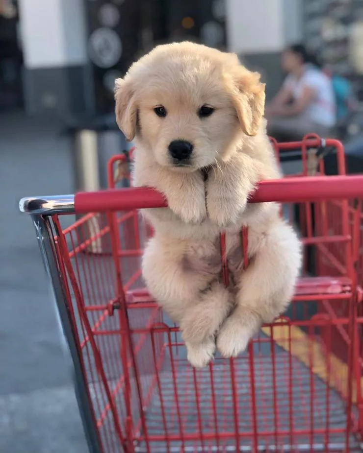 So cute - #3 