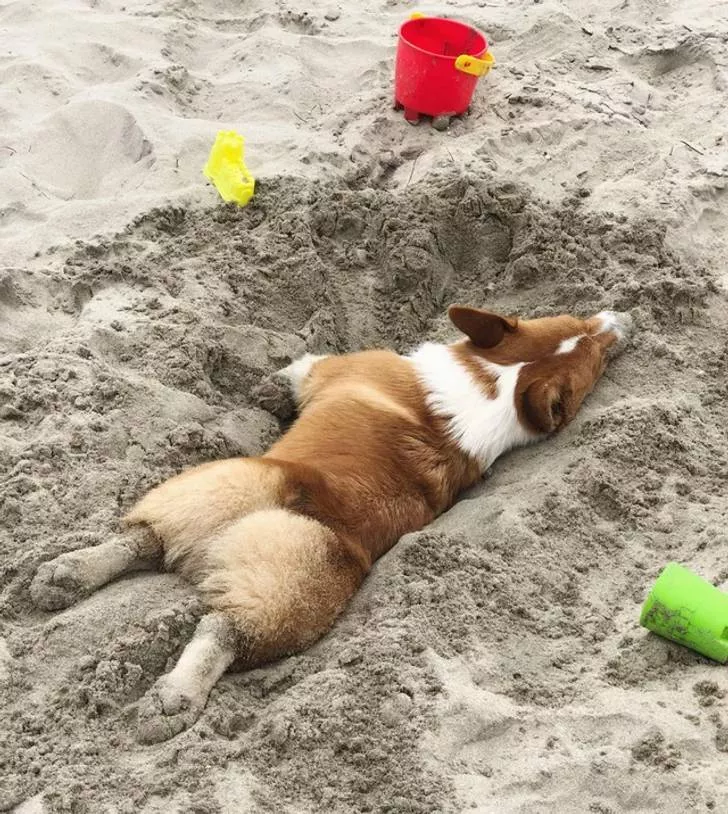 Tellement mignon - #4 