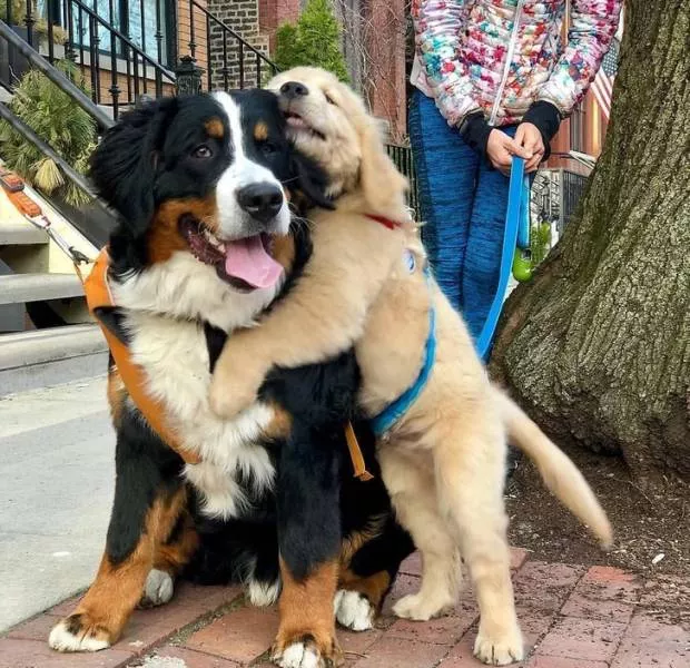So cute - #7 