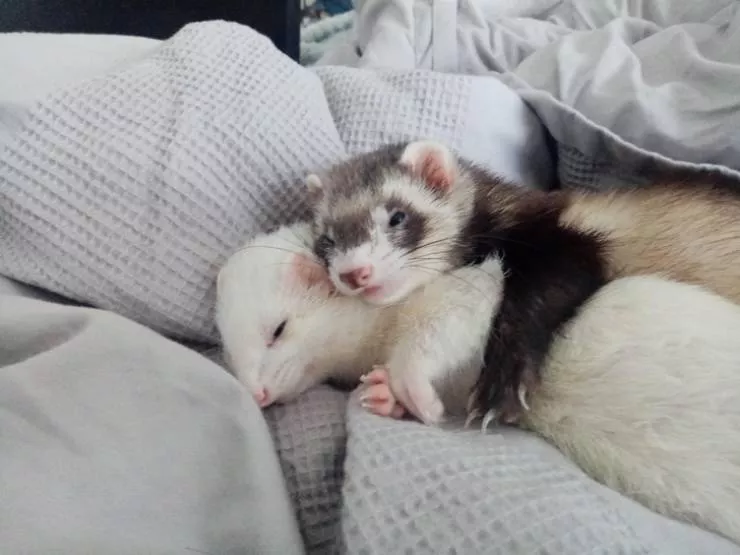 So cute - #8 