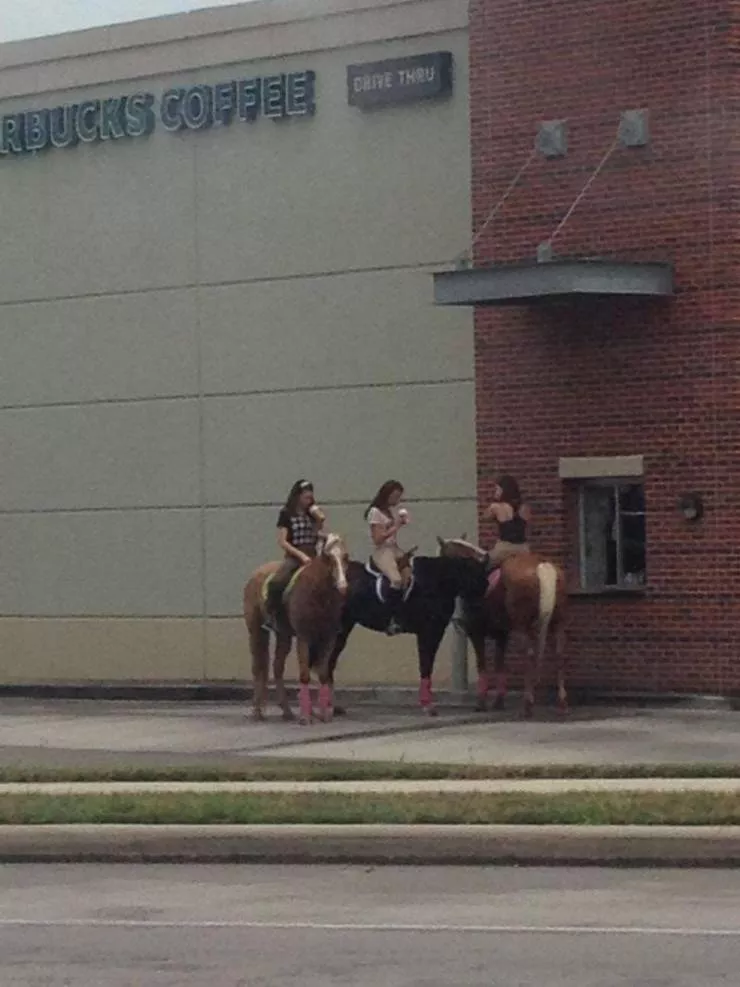 Picdump 528 - #10 