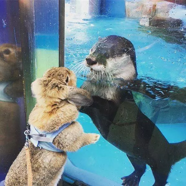 Picdump 528 - #16 