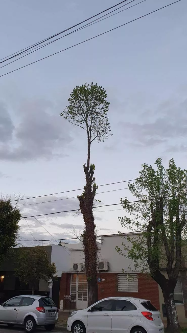 Picdump 528 - #25 