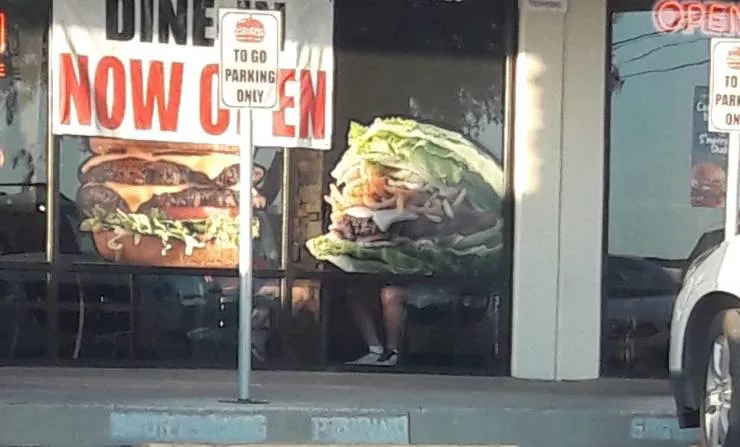 Picdump 528