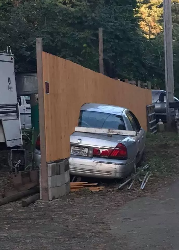 Picdump 528 - #48 