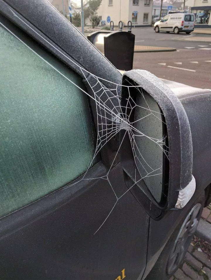 Picdump 528 - #61 