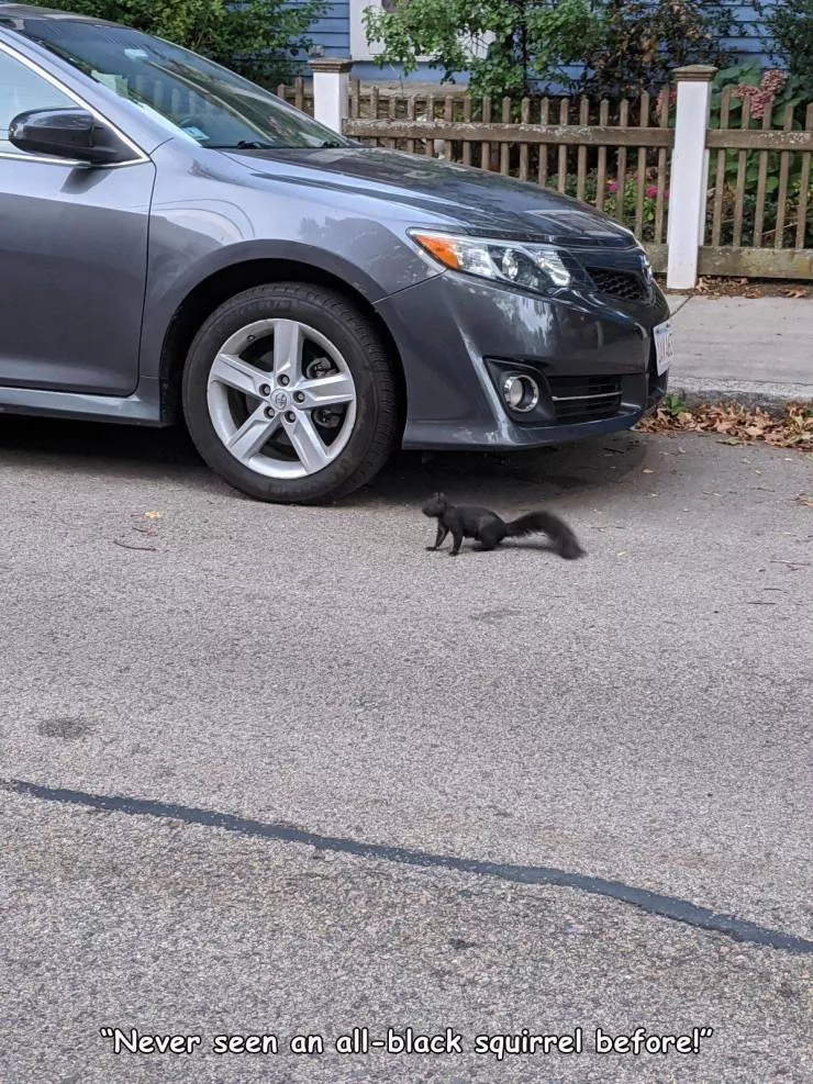 Picdump 528 - #71 