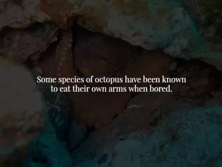 18 scary but true facts about our world - #17 