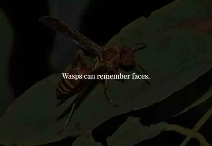 18 scary but true facts about our world - #4 
