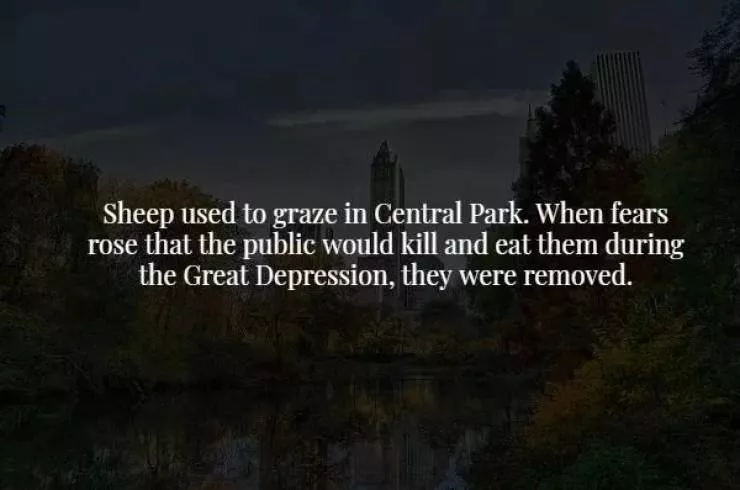 18 scary but true facts about our world - #8 