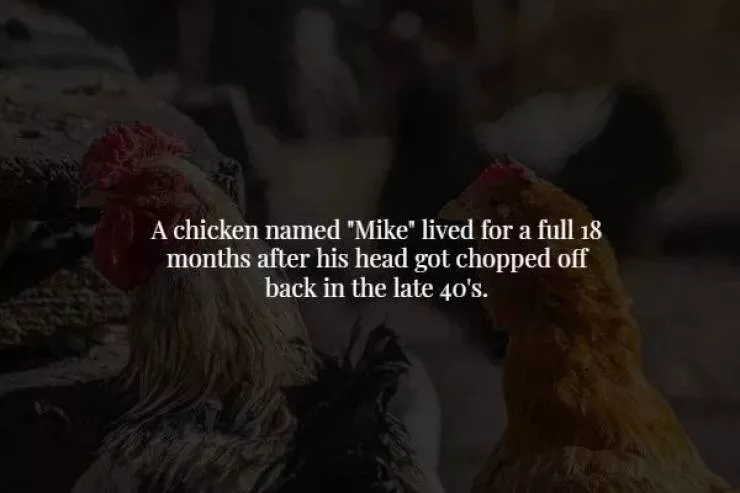 18 scary but true facts about our world - #9 