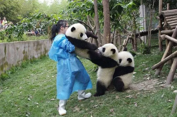 Best friends in iconic moments