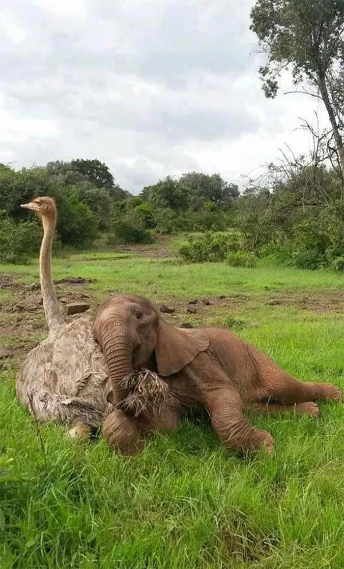 Best friends in iconic moments - #15 