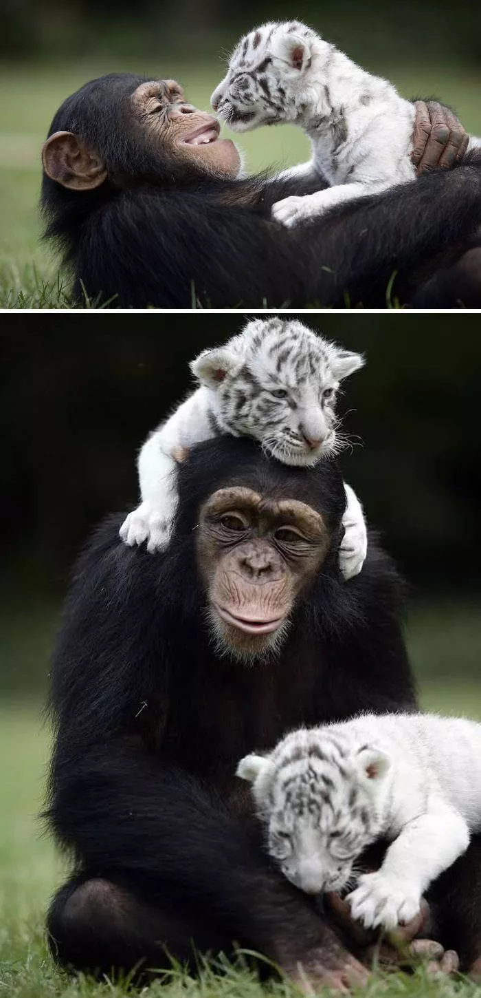 Les meilleurs amis dans des moments cultes - #17 