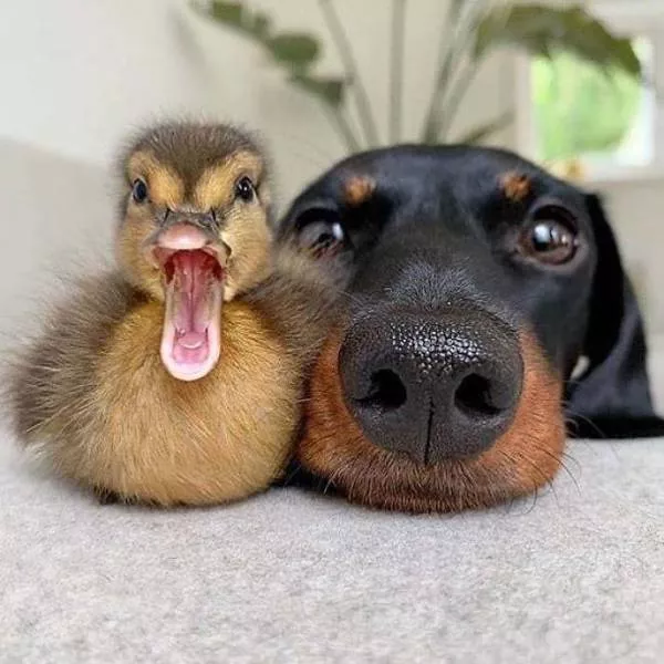 Best friends in iconic moments - #18 