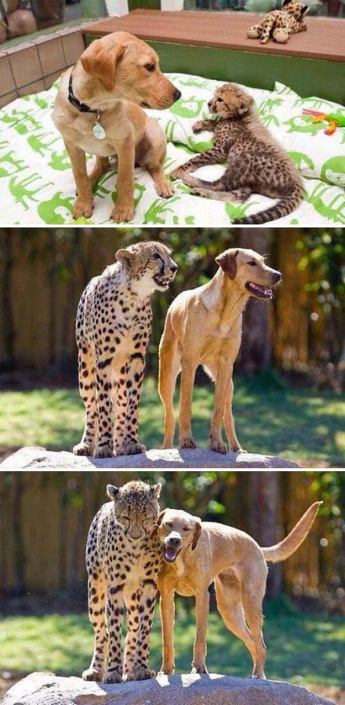 Best friends in iconic moments - #19 