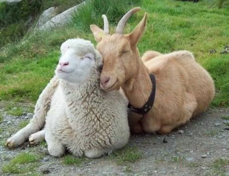 Best friends in iconic moments - #21 