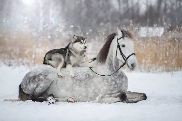 Best friends in iconic moments - #22 