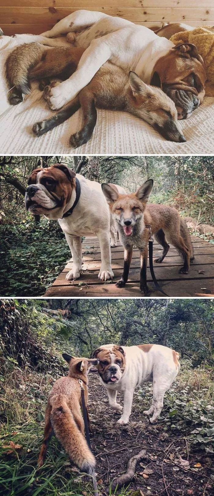 Best friends in iconic moments - #24 