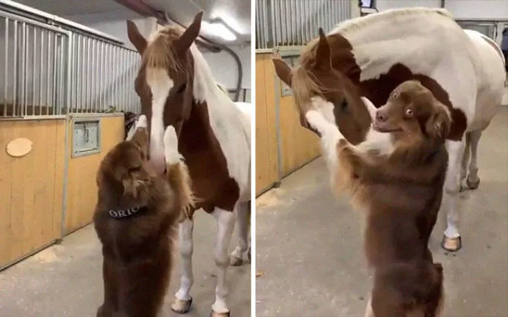 Best friends in iconic moments - #25 