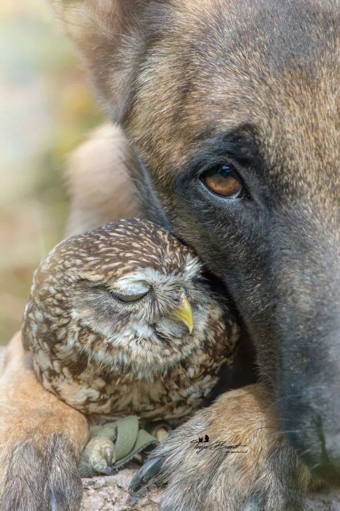 Best friends in iconic moments - #26 