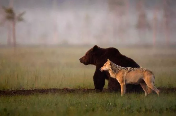Best friends in iconic moments - #28 