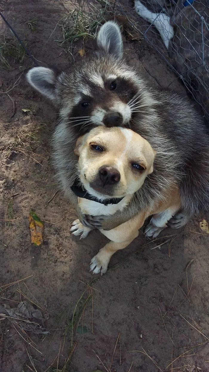 Best friends in iconic moments - #3 