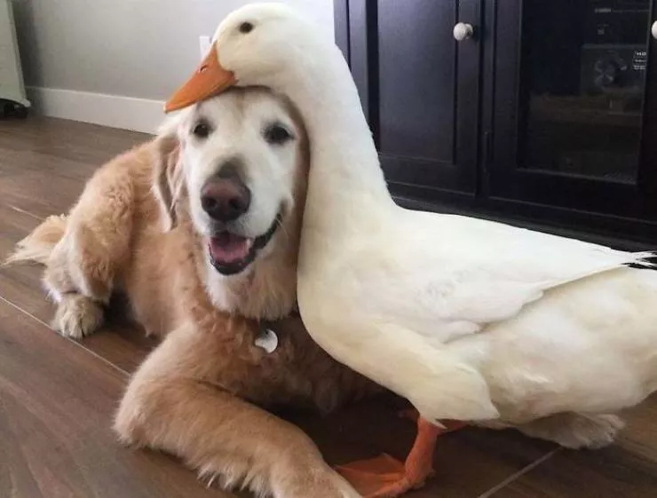 Best friends in iconic moments - #32 