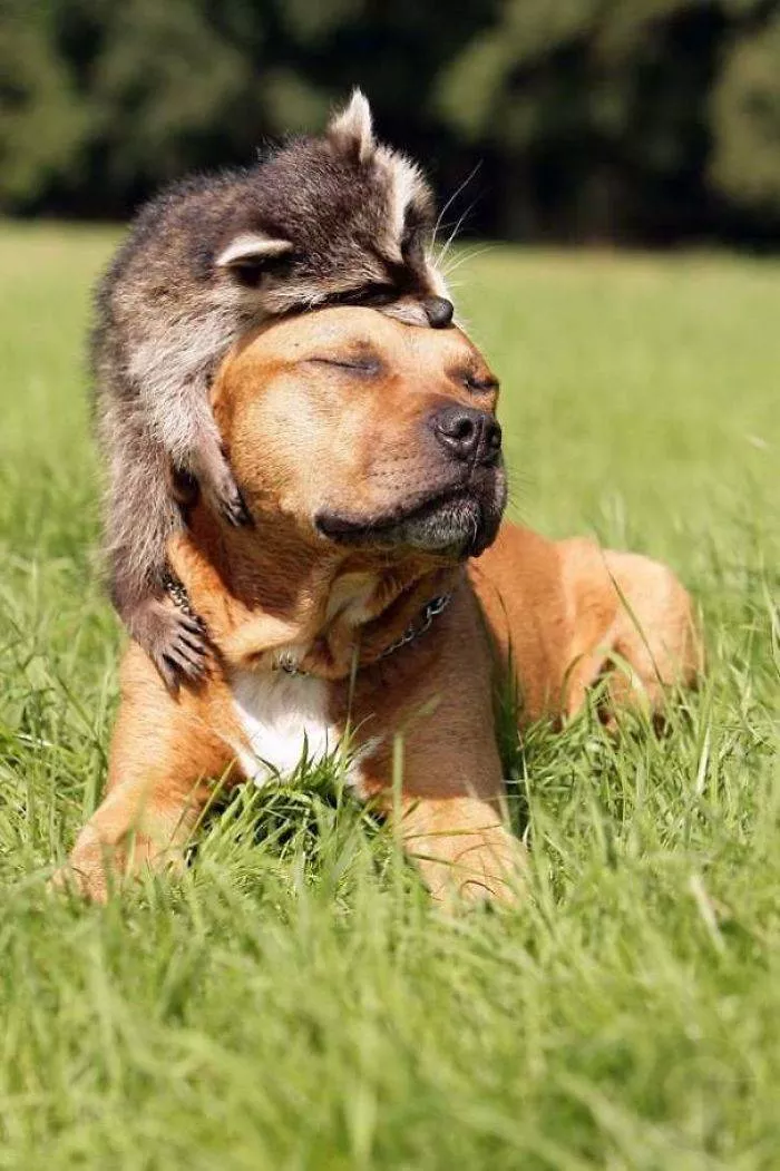 Best friends in iconic moments - #34 