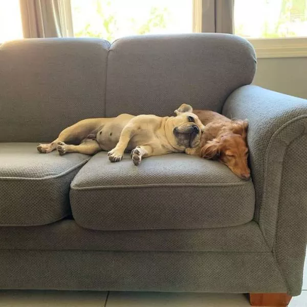 Best friends in iconic moments - #37 