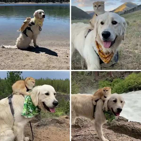Best friends in iconic moments - #42 
