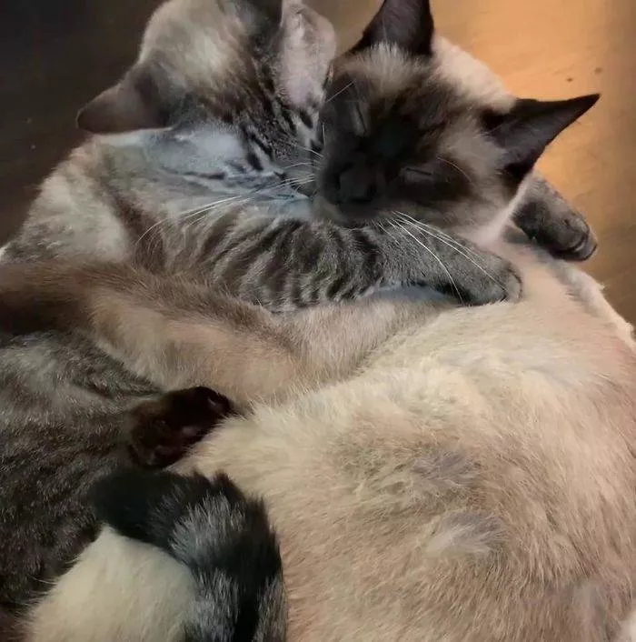 Best friends in iconic moments - #43 