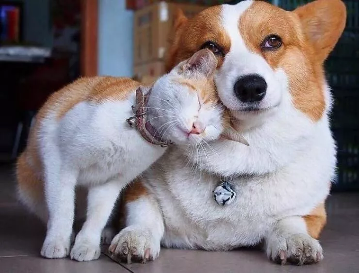 Les meilleurs amis dans des moments cultes - #9 