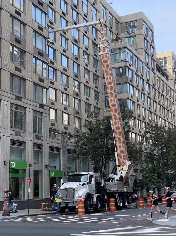 Picdump 530 - #12 