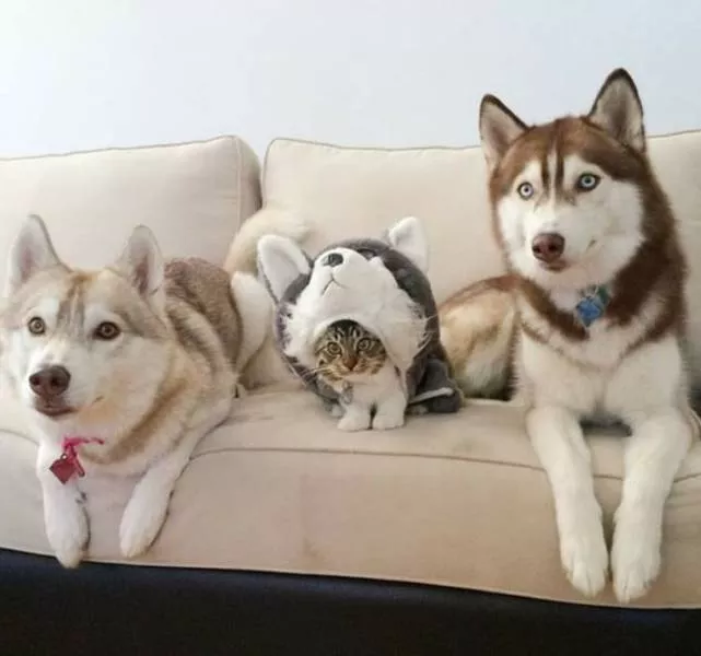 Picdump 530 - #19 